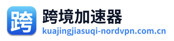 跨境加速器 Logo